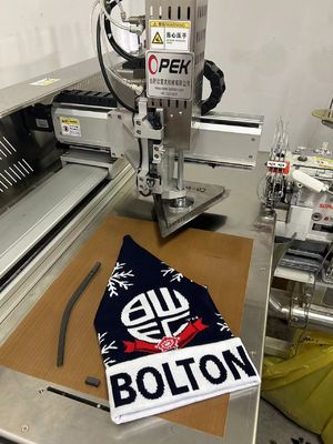 Machine à coudre à chapeau à tricoter automatique maison polyvalente et durable Opek-300HS