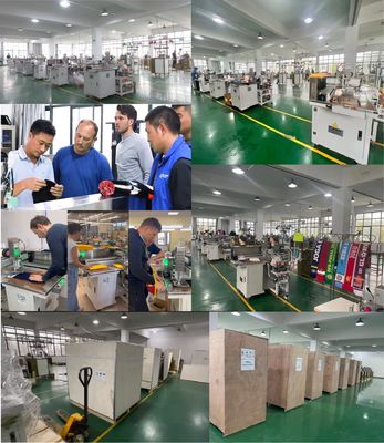 Machine à coudre haute efficacité Opek-300HS à chapeau tricoté automatique pour produits de couture