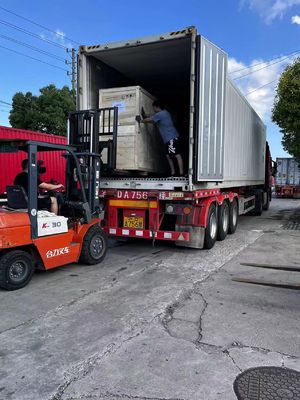 12g 14g 16g Machine à tricoter à col plat informatisée pour le pull